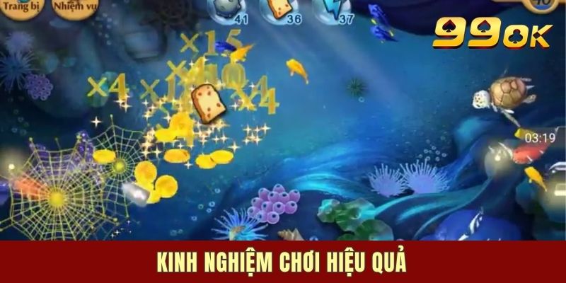 Vì sao Banca05 lại thu hút nhiều hội viên?