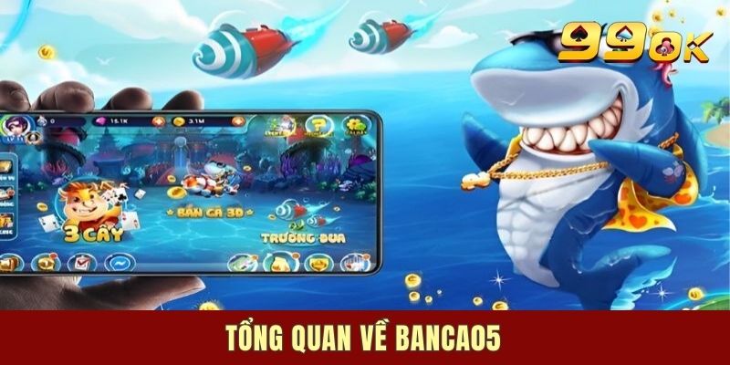 Thông tin cơ bản về Banca05