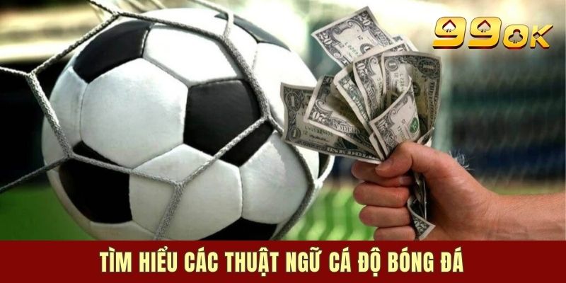Thuật ngữ cá độ bóng đá là gì?